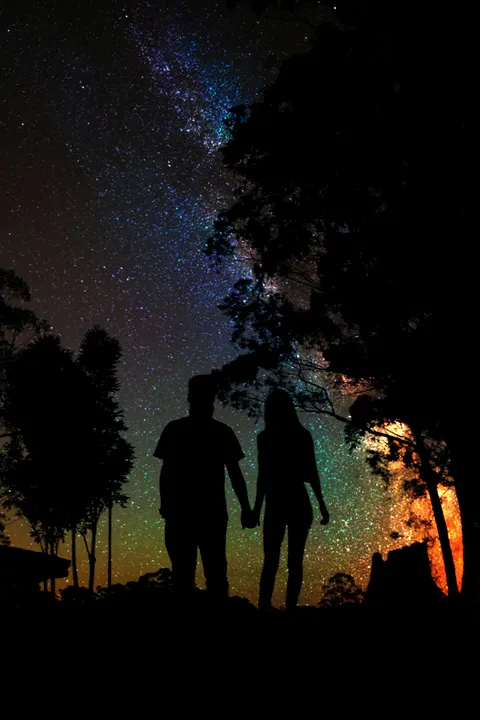 Night Silhouette Phone Wallpaper · amoled · 1440×2160