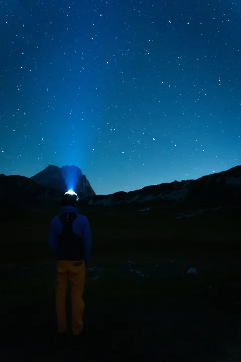 Fond d'écran mobile Silhouette Nocturne · amoled · 1440×2159