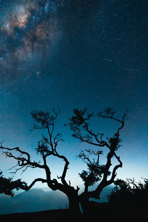 Night Silhouette Phone Wallpaper · amoled · 1440×2160