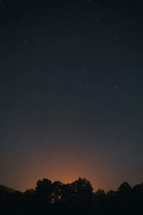 Night Silhouette Phone Wallpaper · amoled · 1440×2166