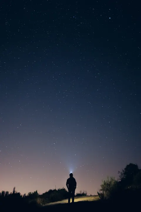 Night Silhouette Phone Wallpaper · amoled · 1440×2159