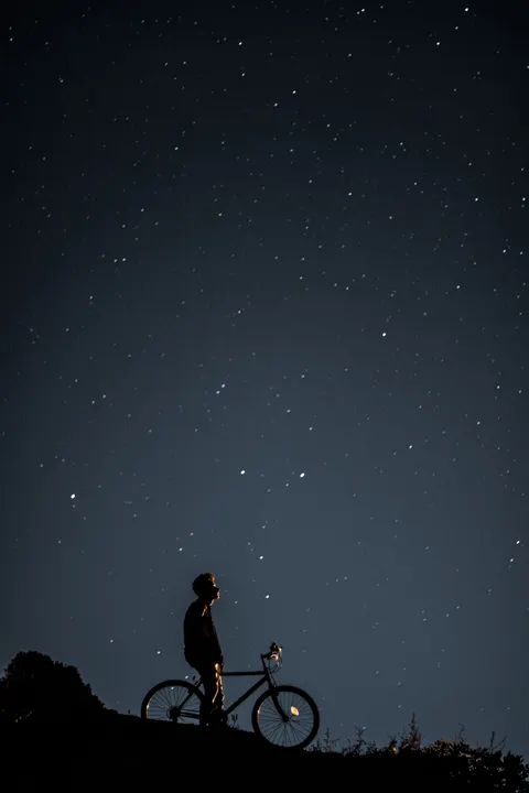 Fondo de Pantalla para Móvil Silueta Nocturna · amoled · 1440×2160