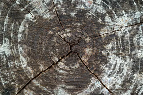 Sfondo Venature del legno 4K · minimal · 3840×2563