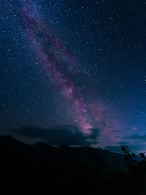 Night Silhouette Phone Wallpaper · amoled · 1440×1920