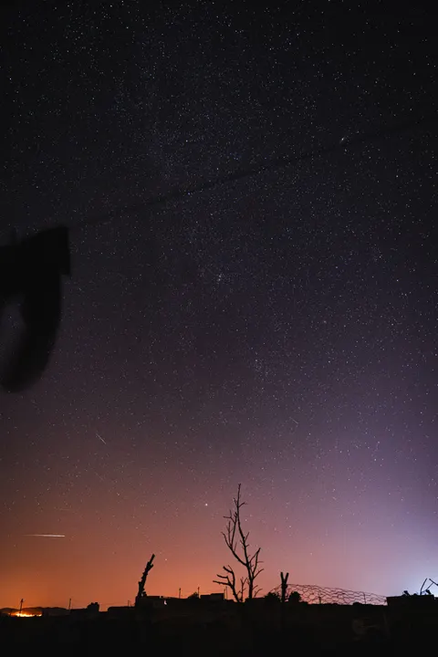 Night Silhouette Phone Wallpaper · amoled · 1440×2160