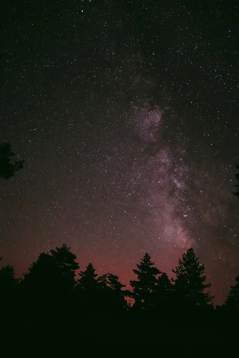 Night Silhouette Phone Wallpaper · amoled · 1440×2160