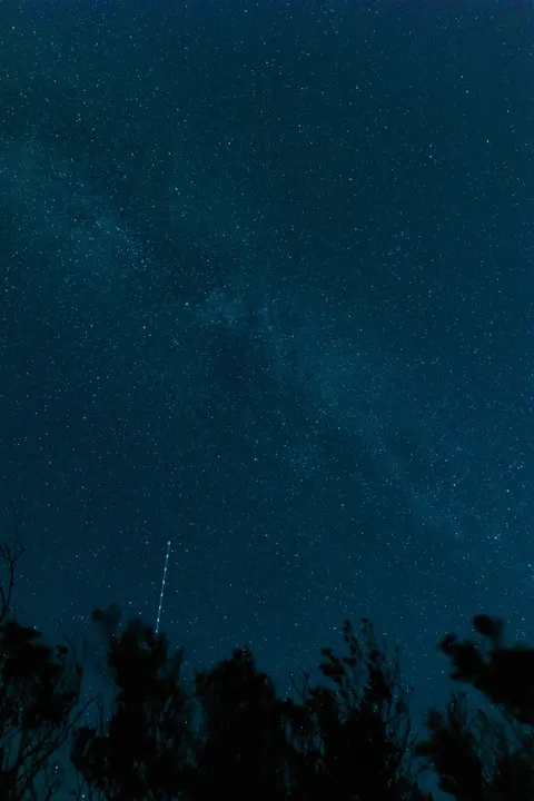 Night Silhouette Phone Wallpaper · amoled · 1440×2159
