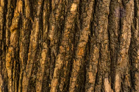 Fond d'écran Grain du bois 4K · minimal · 3840×2560