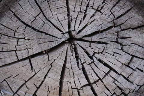 Wood Grain 4K Wallpaper · minimal · 3840×2560