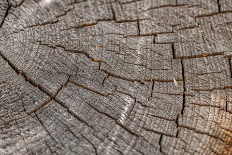 والپیپر رگه‌های چوب با کیفیت 4K · minimal · 3840×2560