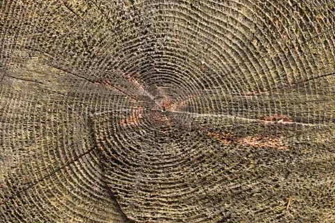Holzmaserung 4K Hintergrundbild · minimal · 3840×2560