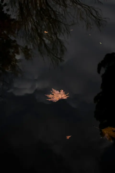 Dark Water Phone Wallpaper · amoled · 1440×2160