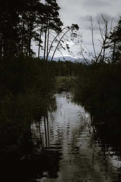 Acqua Scura Sfondo per Telefono · amoled · 1440×2160