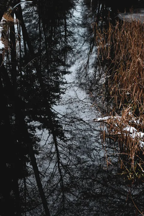 Fondo de Pantalla para Móvil Agua Oscura · amoled · 1440×2160