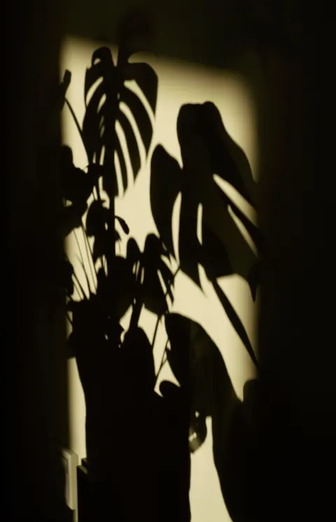 Permainan Bayangan Wallpaper HP · amoled · 1440×2238