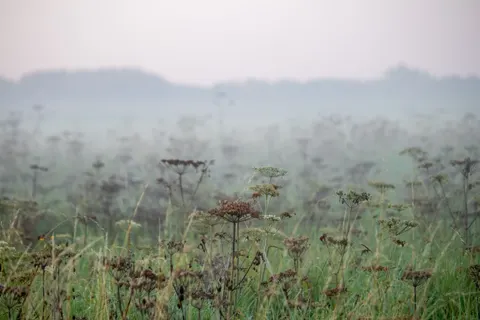 Foggy Minimal 4K Wallpaper · minimal · 3840×2560