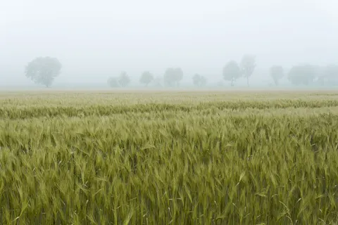 Foggy Minimal 4K Wallpaper · minimal · 3840×2560