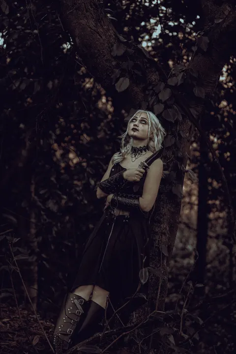 Black Forest Phone Wallpaper · amoled · 1440×2160