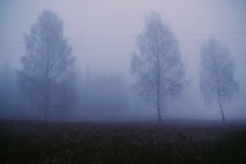 Foggy Minimal 4K Wallpaper · minimal · 3840×2560