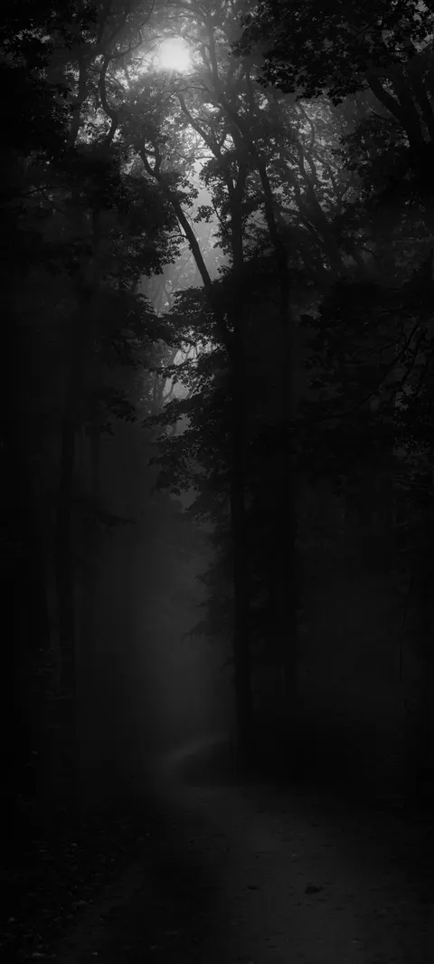 Fondo de Pantalla para Móvil Bosque Negro · amoled · 1440×3197