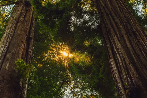 自然 4K壁纸 · nature · 3840×2560