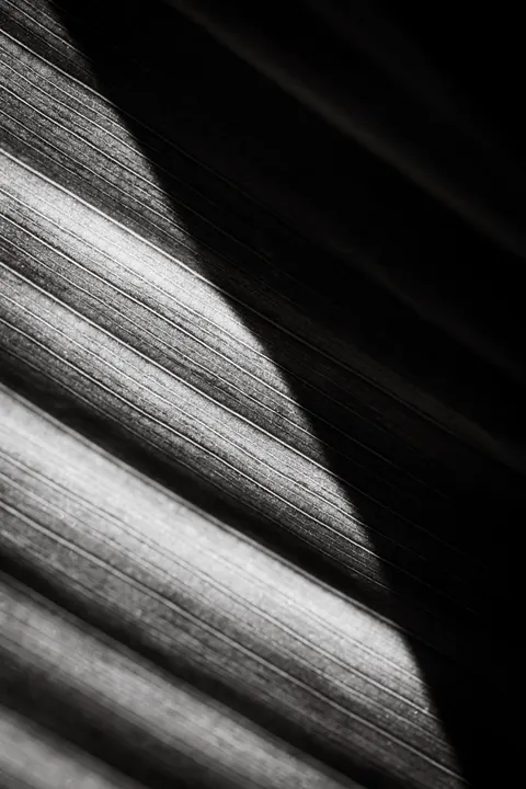 High Contrast Phone Wallpaper · amoled · 1440×2160