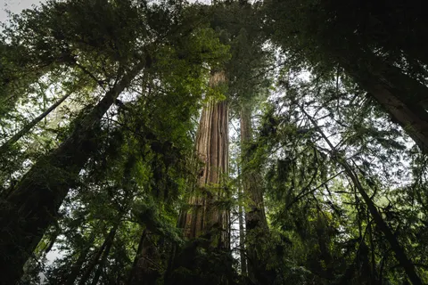 Hình nền Thiên nhiên 4K · nature · 3840×2560