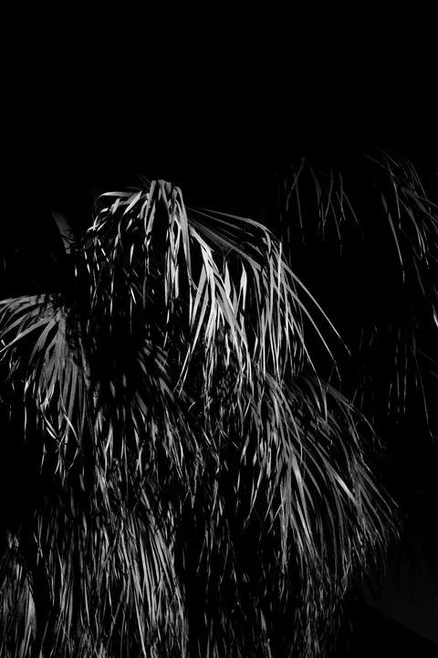 Wysoki kontrast Tapeta na Telefon · amoled · 1440×2160