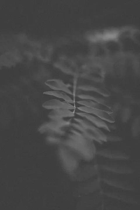 हाई कॉन्ट्रास्ट मोबाइल वॉलपेपर · amoled · 1440×2157