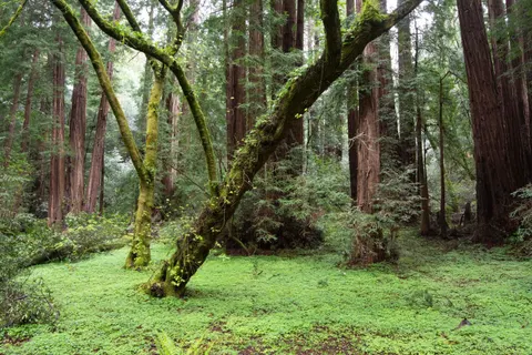 Hình nền Thiên nhiên 4K · nature · 3840×2560