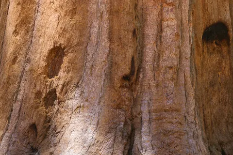 Fond d'écran Nature 4K · nature · 3840×2560