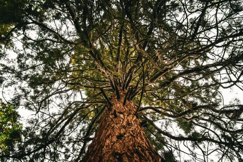 والپیپر طبیعت با کیفیت 4K · nature · 3840×2560