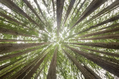 Hình nền Thiên nhiên 4K · nature · 3840×2560