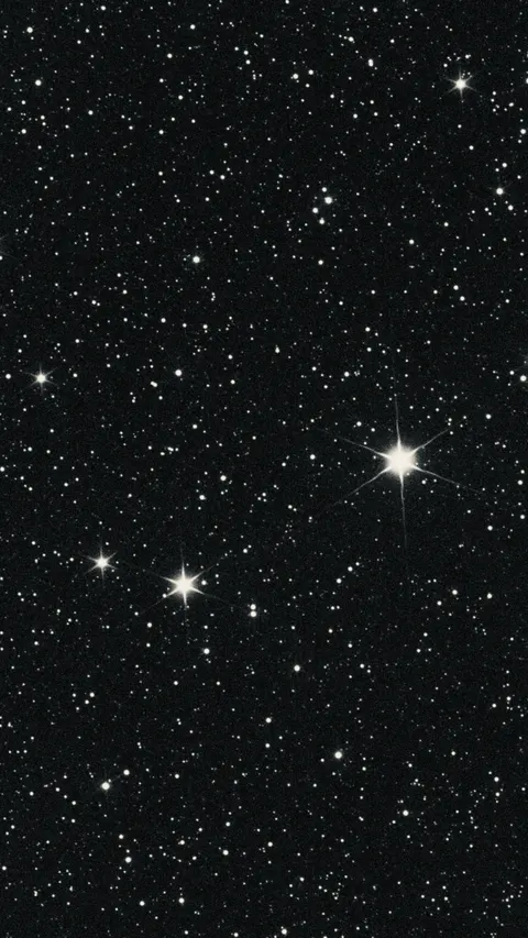 Nero Puro Sfondo per Telefono · amoled · 1440×2559