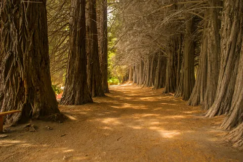 Hình nền Thiên nhiên 4K · nature · 3840×2560