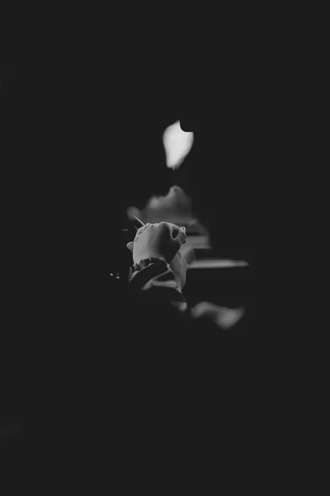 ब्लैक मिनिमल मोबाइल वॉलपेपर · amoled · 1440×2160