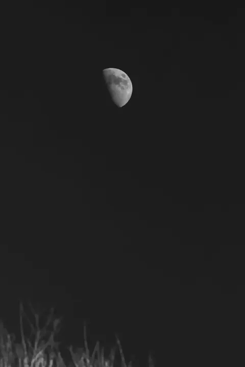 Fondo de Pantalla para Móvil Negro Minimalista · amoled · 1440×2160
