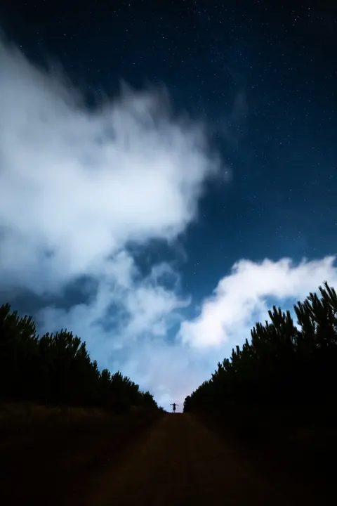 Fondo de Pantalla para Móvil Silueta Nocturna · amoled · 1440×2159