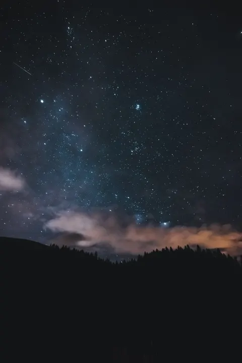 Nächtliche Silhouette Handy-Hintergrundbild · amoled · 1440×2160