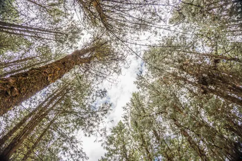 Natur 4K Hintergrundbild · nature · 3840×2560