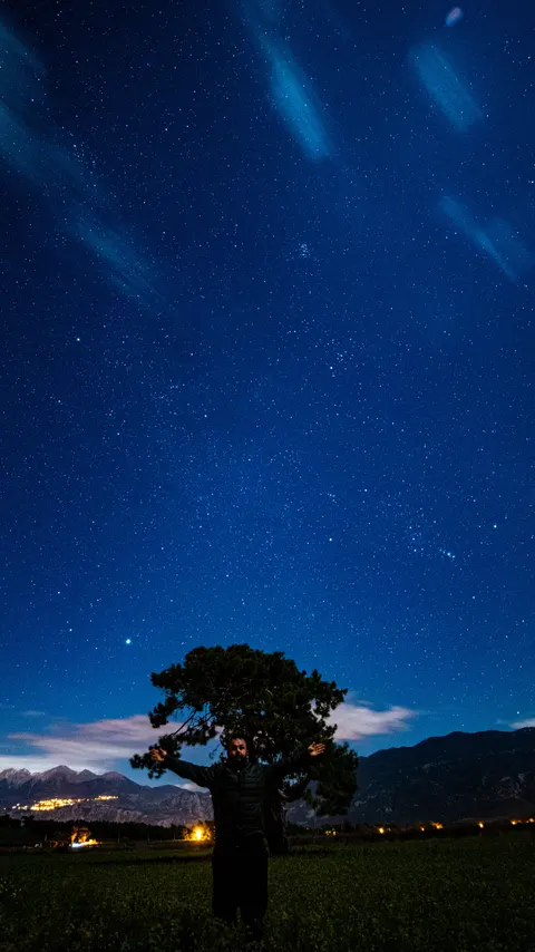 Night Silhouette Phone Wallpaper · amoled · 1440×2560