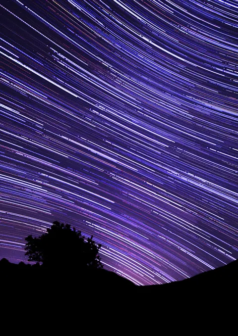 Fond d'écran mobile Silhouette Nocturne · amoled · 1440×2037