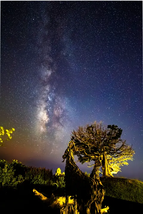 Fondo de Pantalla para Móvil Silueta Nocturna · amoled · 1440×2160