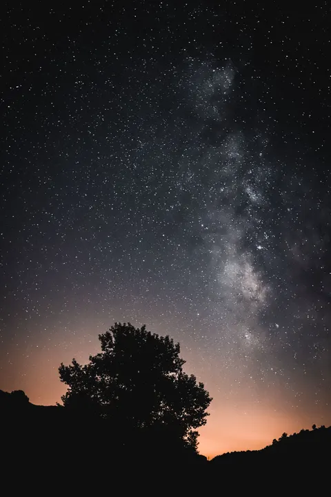 Fondo de Pantalla para Móvil Silueta Nocturna · amoled · 1440×2160