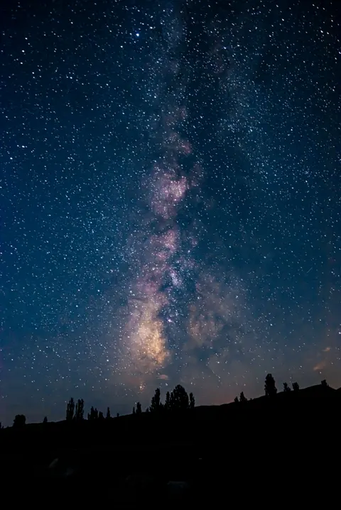 Fond d'écran mobile Silhouette Nocturne · amoled · 1440×2157