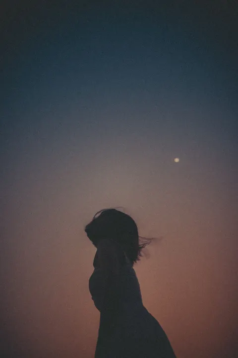 Fondo de Pantalla para Móvil Silueta Nocturna · amoled · 1440×2160