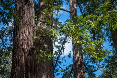 प्रकृति 4K वॉलपेपर · nature · 3840×2560