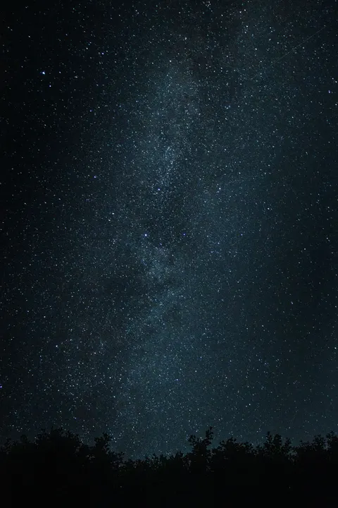 夜晚剪影 手机壁纸 · amoled · 1440×2160