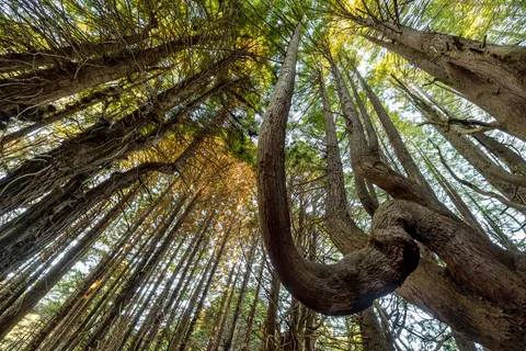 والپیپر طبیعت با کیفیت 4K · nature · 3840×2561
