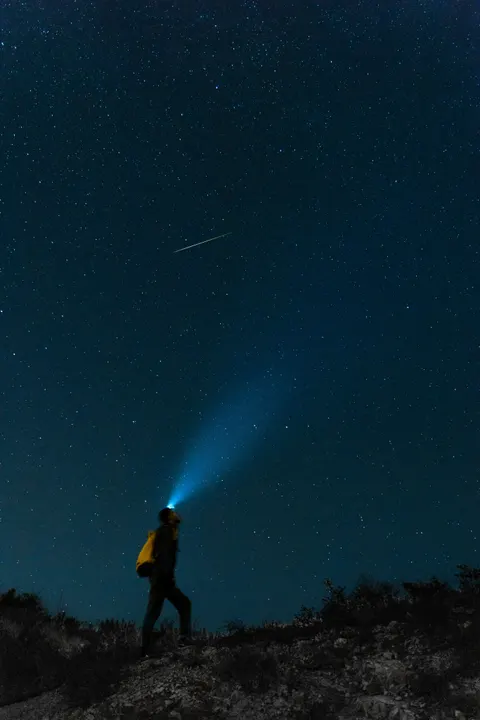 Night Silhouette Phone Wallpaper · amoled · 1440×2159